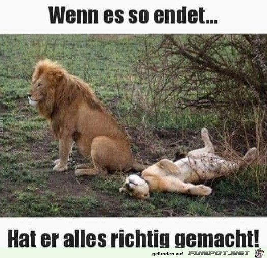 Gut gemacht Gut gemacht
