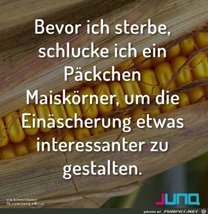 Maiskoerner Maiskoerner