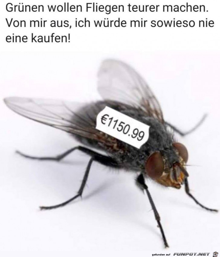 Fliege Fliege