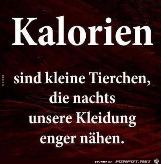 Kalorien Kalorien