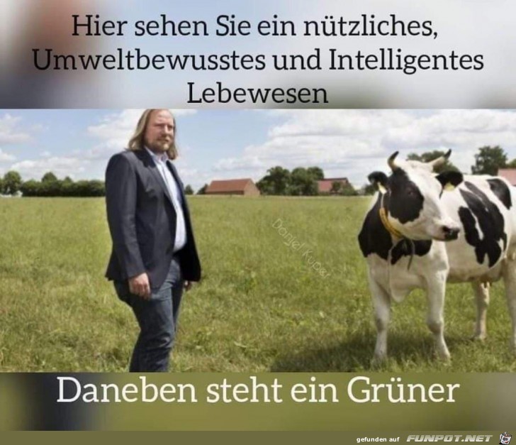 Umwelt Umwelt