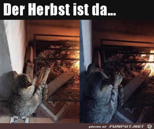 Im Herbst Im Herbst