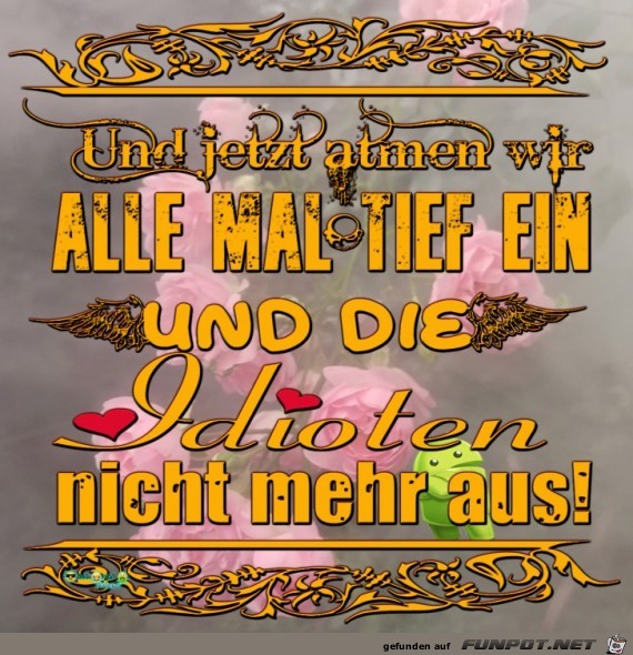 Idioten Idioten