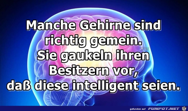 Manche Gehirne Manche Gehirne