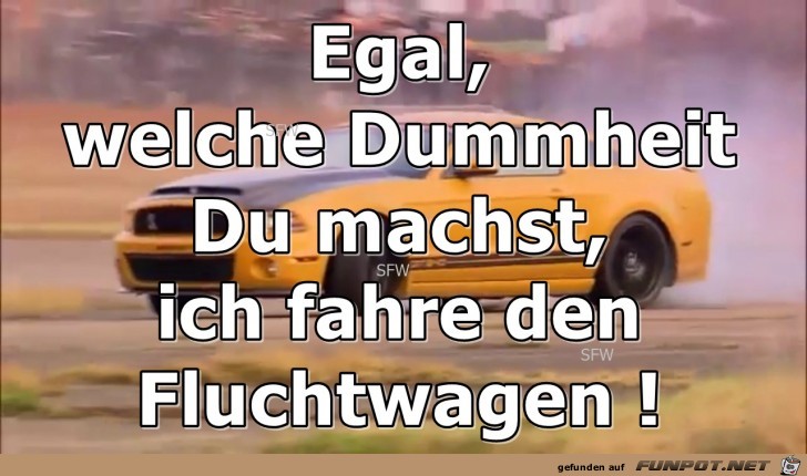 welche Dummheit