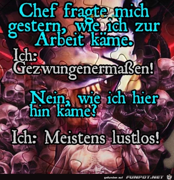 Chef fragte mich... Chef fragte mich...