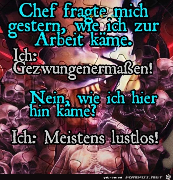 Chef fragte mich...