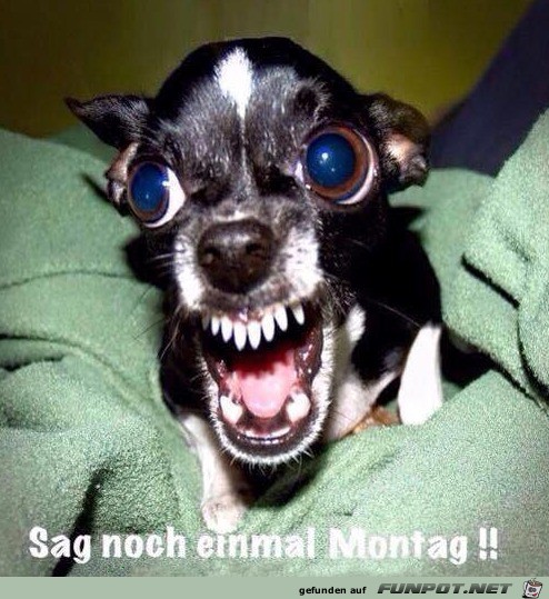Montag Montag
