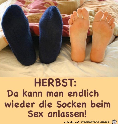 Herbst Herbst