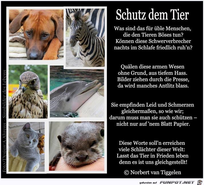 Schutz dem Tier 2019 Schutz dem Tier 2019
