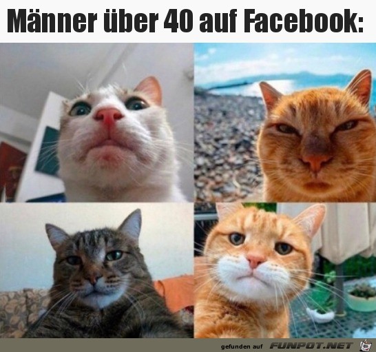 Männer über 40 Männer über 40