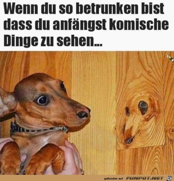 Komische Dinge