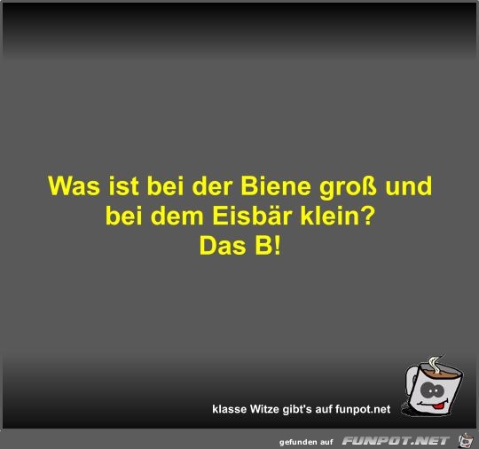 Was ist bei der Biene gro und bei dem Eisbr klein?