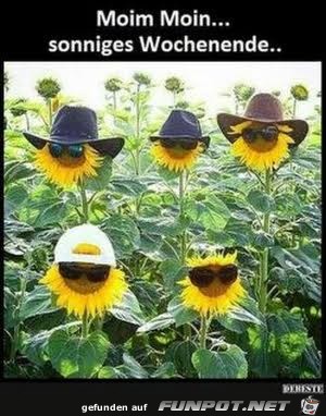 Wochenende