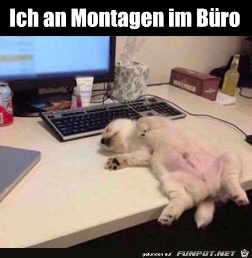 Montags im Büro Montags im Büro