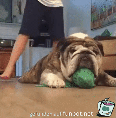 Wie frech Wie frech
