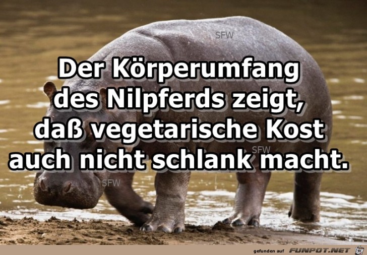 Koerperumfang Koerperumfang
