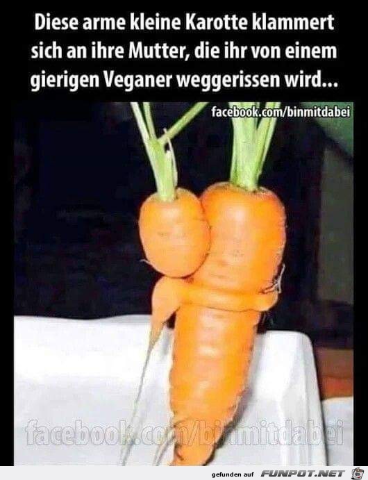 Diese Veganer