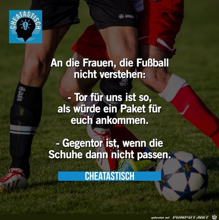 An die Frauen, die Fußball nicht verstehen An die Frauen, die Fußball nicht verstehen