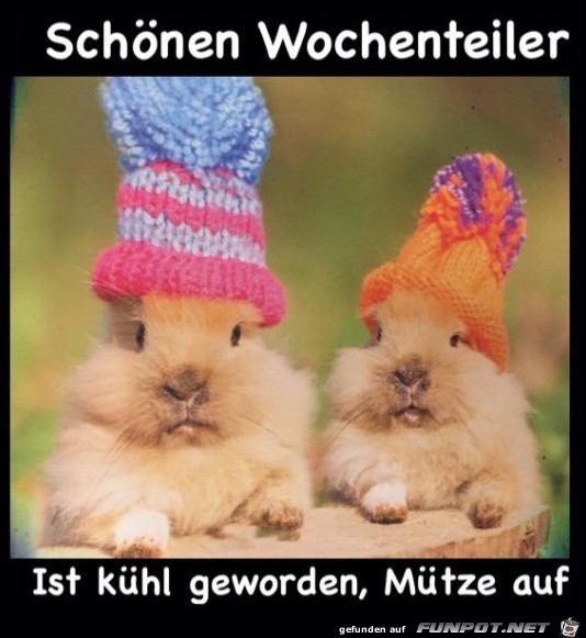 Mittwoch Mittwoch