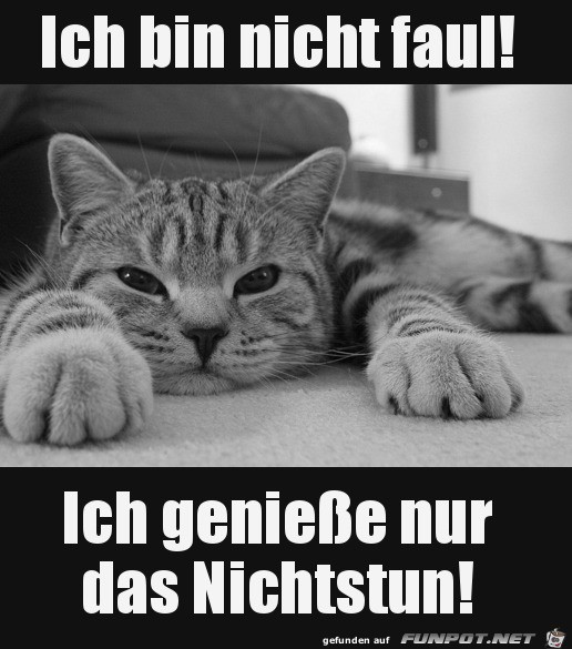 Nicht faul Nicht faul