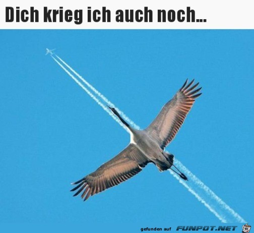 Ich kriege dich Ich kriege dich