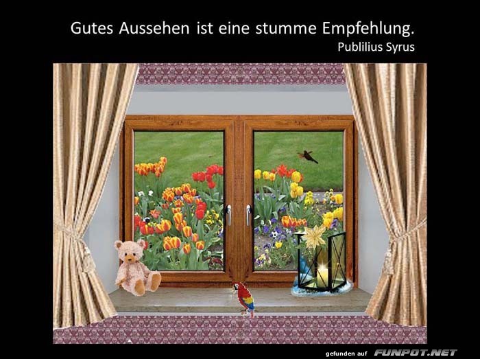 Gutes Aussehen Gutes Aussehen