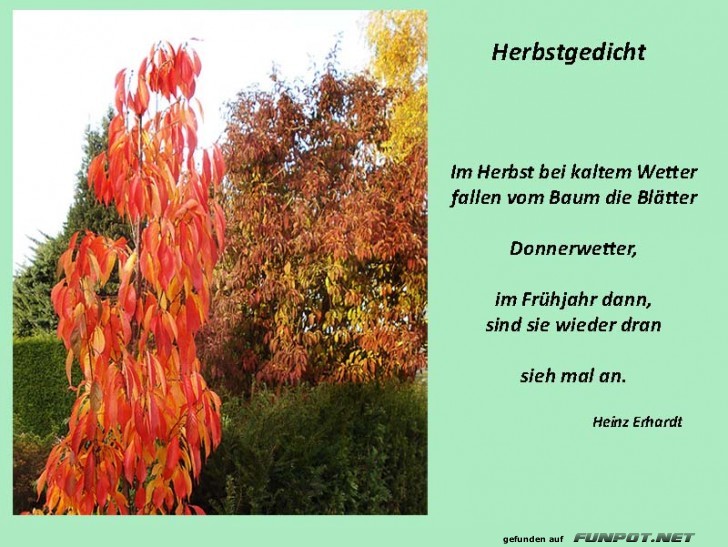 Herbstgedicht Herbstgedicht