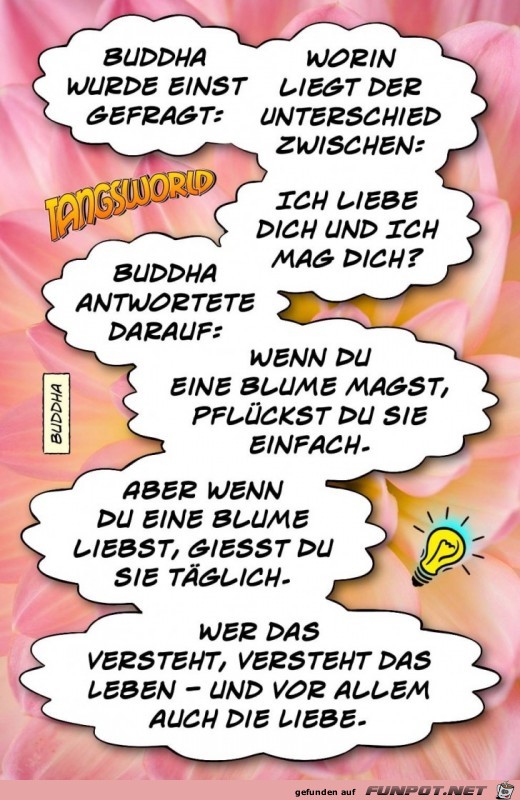 Buddha wurde einst gefragt