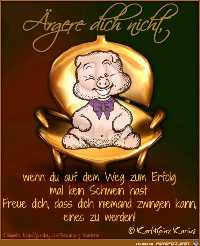 aergere dich nicht aergere dich nicht