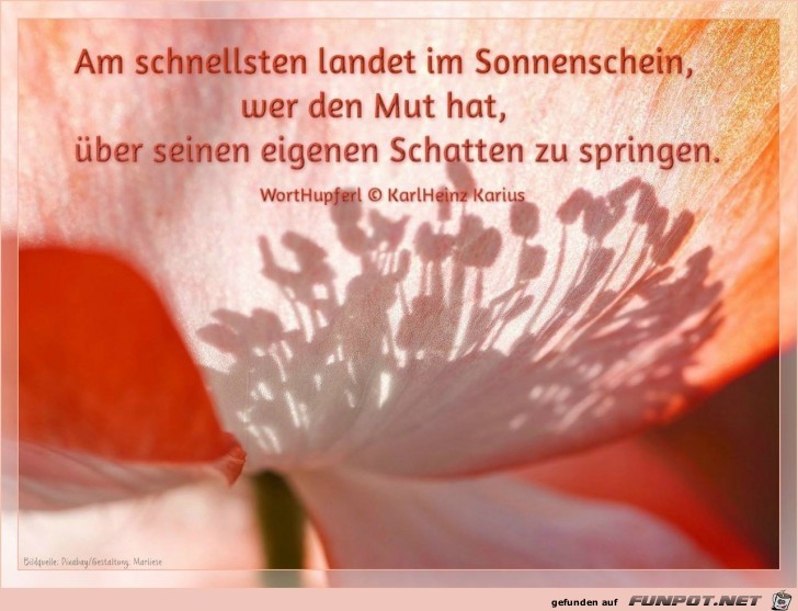 am schnellsten am schnellsten