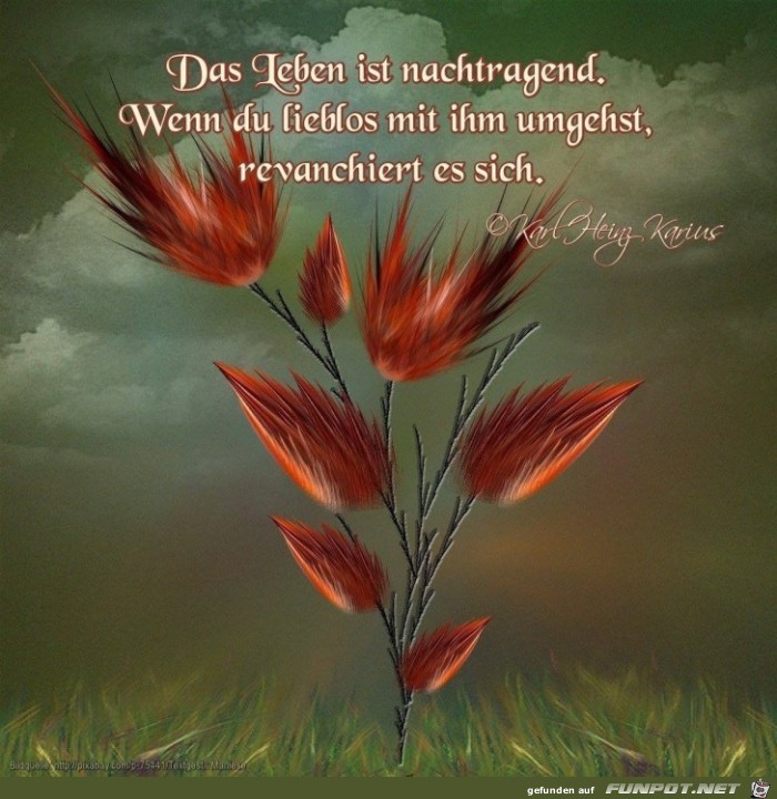 das Leben ist nachtragend