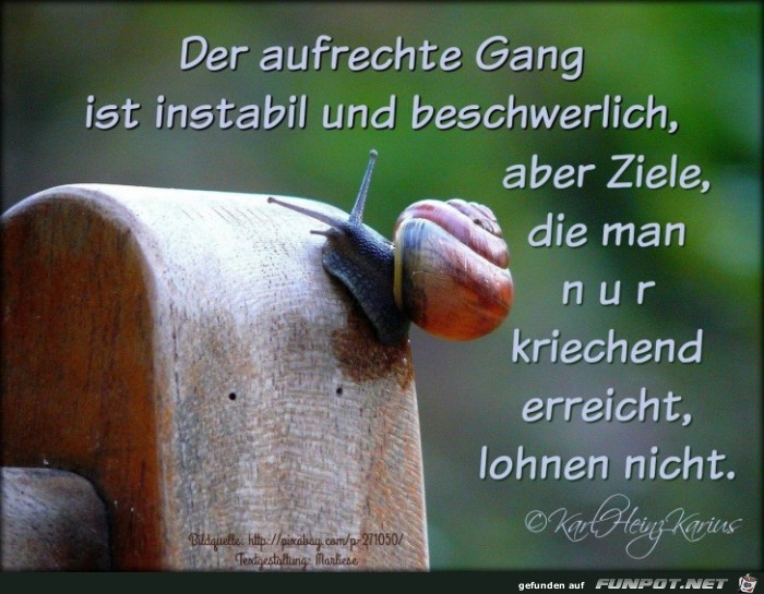 der aufrechte Gang