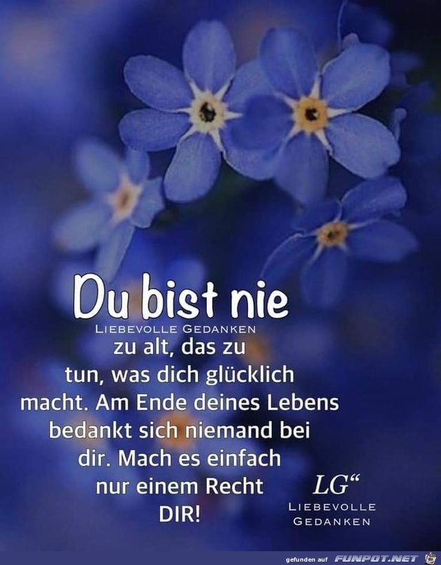 du bist nie zu alt du bist nie zu alt