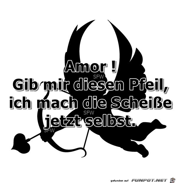 Amor Amor