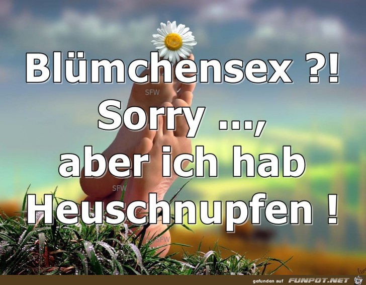 Bluemchensex