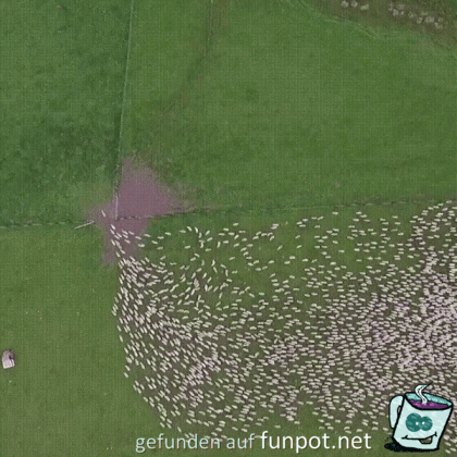 Super Ansicht Super Ansicht