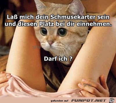 La ss mich dein La ss mich dein