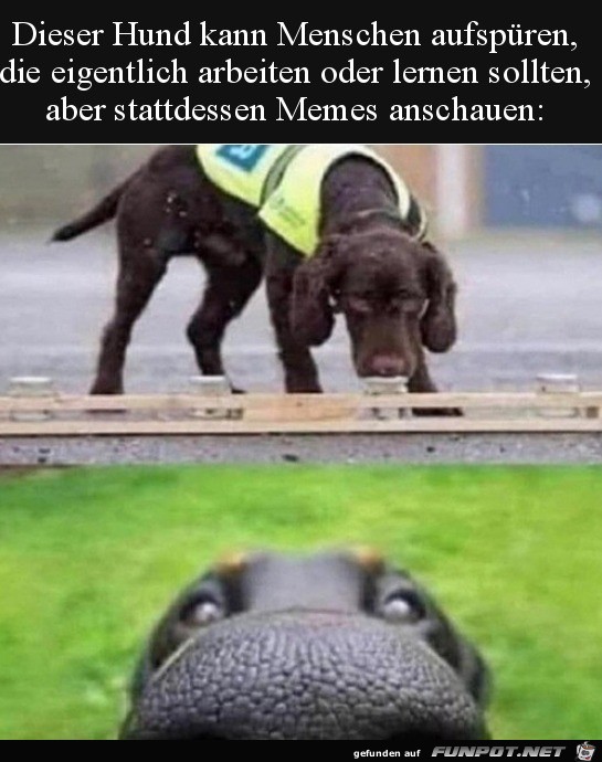 Erwischt Erwischt