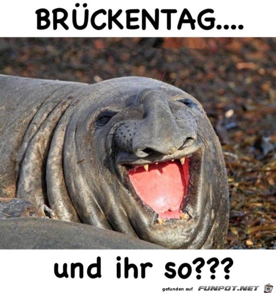 Brückentag Brückentag