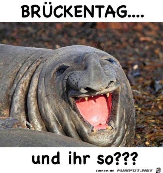 Brckentag