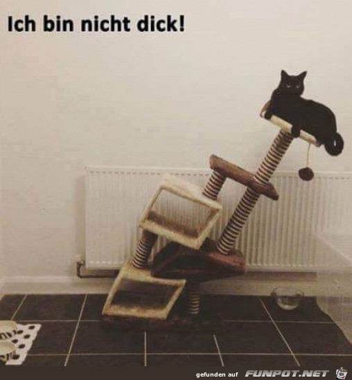 Wer ist hier dick