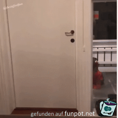 Die sind doch klasse Die sind doch klasse