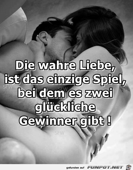 Die wahre Liebe 1