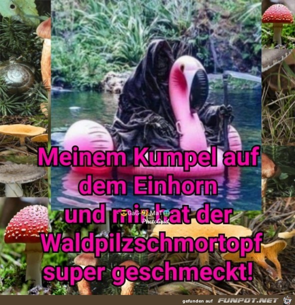 Waldpilzschmortopf Waldpilzschmortopf
