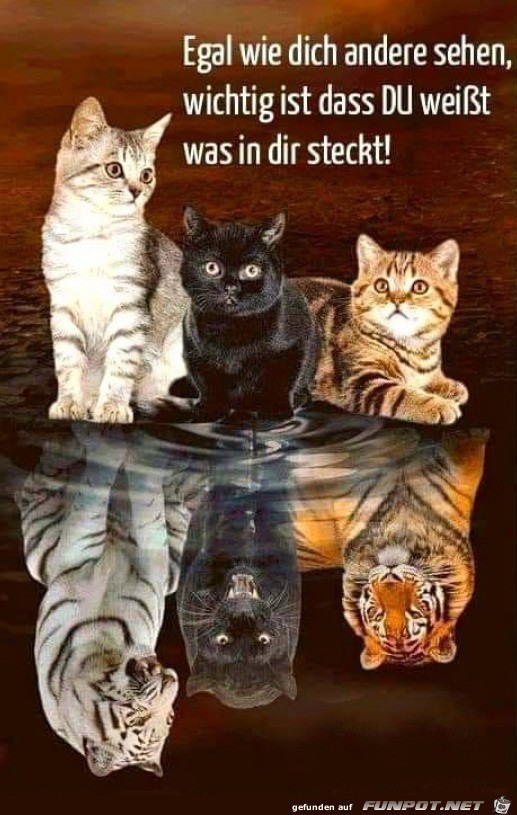 Was in dir steckt Was in dir steckt