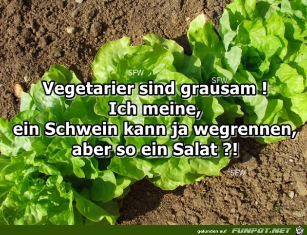 Vegetarier sind Vegetarier sind