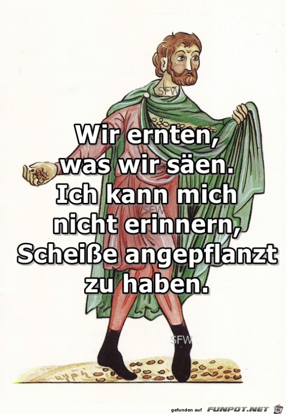 Wir ernten