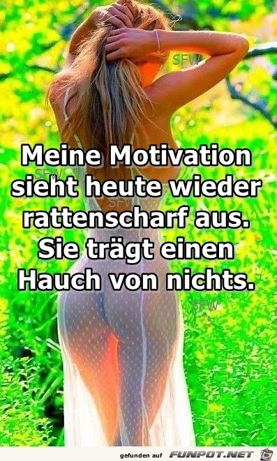 Meine Motivation