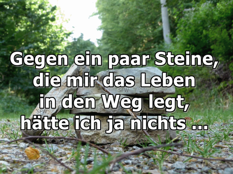 Steine im Leben Steine im Leben